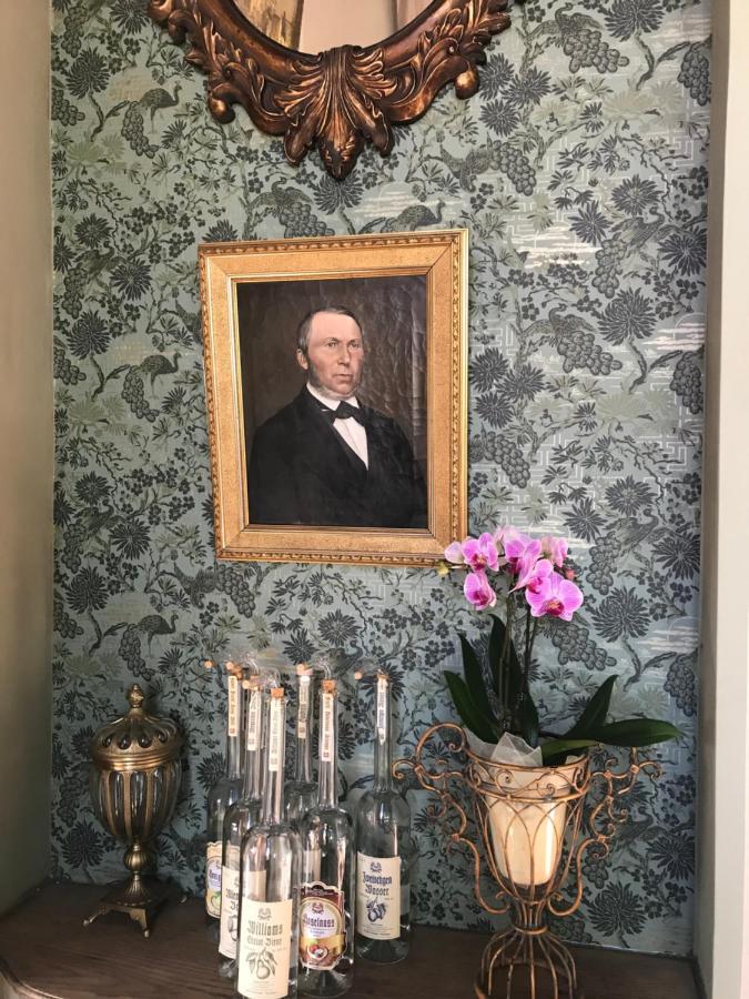 Schlosshotel Elgersburg Bagian luar foto